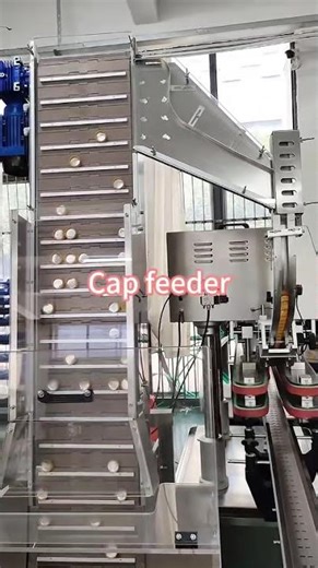 Automatic Cap Elevator | Efficient Cap Feeding for Capping Machines