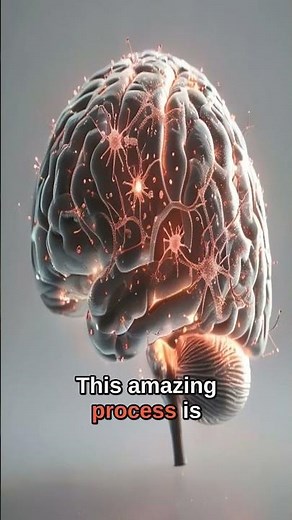 Your Brain Still Grows NEW Neurons! The Amazing Truth of Neurogenesis