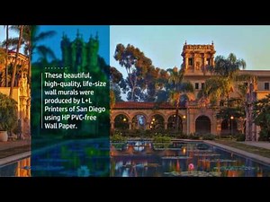 The San Diego Airport Uses HP PVC-free Wall Paper to Celebrate the Centennial of Balboa Park