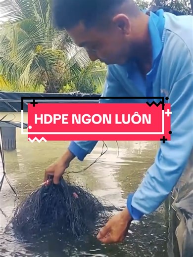 Bể bạt HDPE chất lượng cao và giải pháp nuôi cá