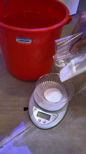 Thả c:á bể Rinano mini cùng mình nha🤭 | Rin Aquarium