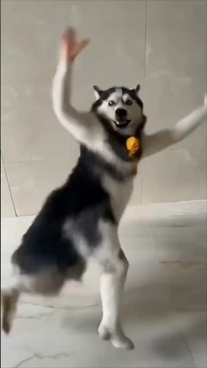 𝐋𝐨𝐠𝐢𝐜 𝐑𝐞𝐚𝐬𝐨𝐧𝐢𝐧𝐠 𝐐𝐮𝐞𝐬𝐭𝐢𝐨𝐧