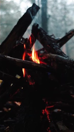 Surviving the rain with a survival shelter and a fire-roasted chicken