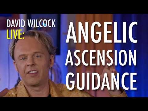 David Wilcock LIVE: Angelic Ascension Guidance