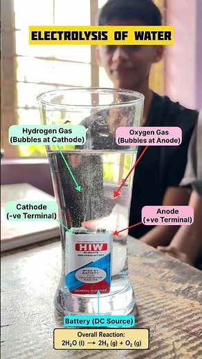 🔋 Water Electrolysis Experiment at Tuition | Class 10 Science Project | Hydrogen & Oxygen Gas