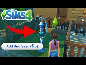 How To Get Birds - The Sims 4