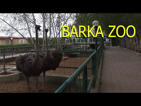 A Quick Tour Inside Barka Zoo | Al Noman Zoo Barka Oman