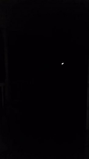 Bone chilling sounds of a fox's mating call in early spring 2017