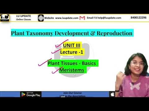 Plant Tissues - Meristems || B.Sc. 3rd Semester Botany || Versha Ma'am || LU UPDATE