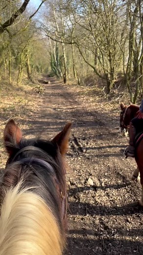 New 5 hour picnic trek! #fyp #foryou #horseriding #horsetrekking #equestrianlife #equestriangirl #horsesontiktok #horsehack #horseride