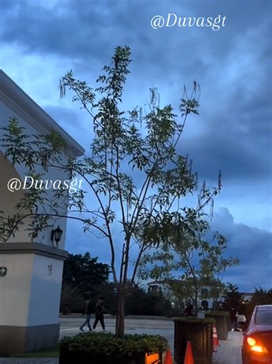 Ciudad Cayala, Ciudad de Guatemala #parati #ciudadcayala #longervideos #Douglas #🇪🇸🇮🇹🇫🇷🇳🇱🇷🇴🏴󐁧󐁢󐁥󐁮󐁧󐁿🇦🇹🇵🇹🇮🇪🇨🇭🇧🇪🏴󐁧󐁢󐁷󐁬󐁳󐁿🇩🇪🇮🇸🇫🇮🇷🇺🇸🇮🇮🇱🇮🇷🇭🇷🇬🇷🇩🇿🇦🇮🇦🇷🇦🇺🇧🇪🇧🇿🇧🇷🇻🇬🇧🇬🇨🇦🇰🇾🇹🇩🇨🇱🇨🇴🇨🇷🇨🇮🇭🇷🇨🇺🇨🇿🇩🇰🇩🇲🇩🇴🇪🇨🇸🇻🇦🇪🇪🇪🇪🇺🇫🇴🇫🇯🇫🇮🇫🇷🇬🇪🇩🇪🇬🇷🇭🇳🇮🇸🇦🇽🇮🇱🇮🇹🇯🇵🇱🇷🇱🇹🇲🇱🇲🇽🇲🇨🇳🇮🇳🇱🇳🇬🇳🇴🇰🇵🇷🇴🇰🇷🇪🇸🇸🇪🇬🇧🇺🇸🇺🇾🇻🇪🇾🇪🇻🇪