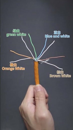 CAT7 with connector
