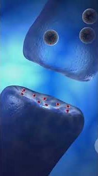 Neuron explained - The brain's superHighway