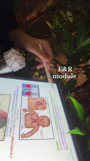 Study Session Ideas for Medical Students