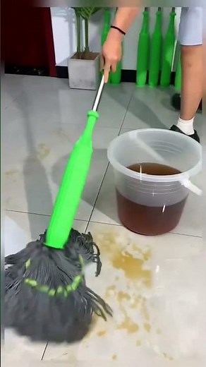 ✨2-in-1 Magic Squeeze Mop | Super Fast Floor Cleaning | Household Wet & Dry Mop Review