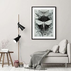 Insects Wall Art, Insect Print, Insect Wall Art, Insect Illustration, Poster, Poster With Insect, Vintage Illustration, Antique Illustration - Etsy Canada