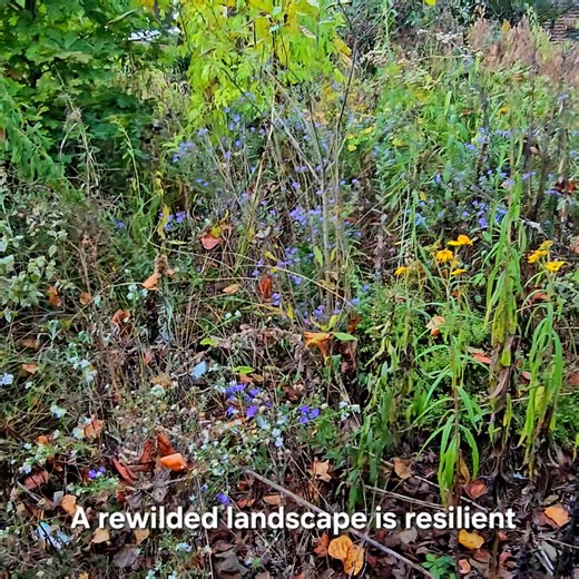 4.3K views · 102 reactions | In Atlanta we just had the fifth driest...