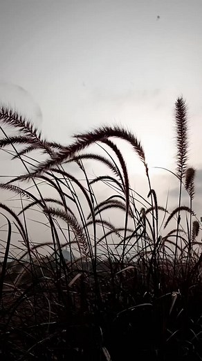 Good fucking morning. Time to rise and fucking shine. 🚀☀️ #goodmorning #badassquotes #mindsetmatters #selfrespect #healingjourney #dailyreminder #capcutedit #selflove #riseandshine #positivemindset #morningvibes