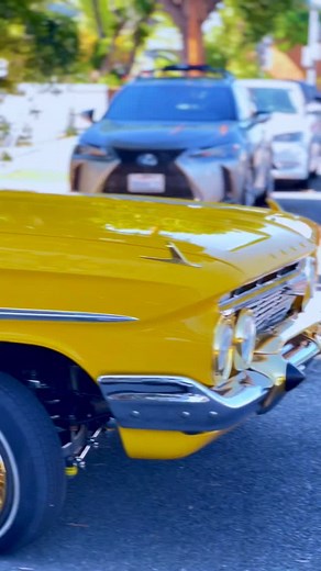 👽 #explorepage✨ #reels #viral | Fred Krueger