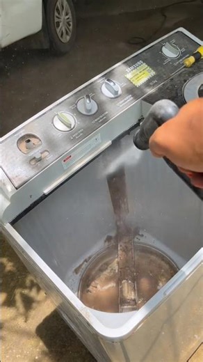 How to Remove Mold from a Washing Machine Door Seal