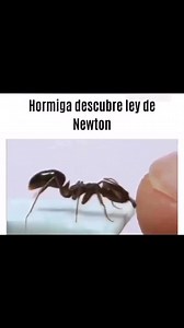 Xd | Física y Feynman
