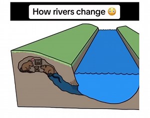 18M views · 149K reactions | If you want to solve a problem, you have to do it on an ecosystem level. Don't underestimate the power of small and big animals or plants #regenerativeagriculture #regenerativefarming #naturebased | Food Forest Institute | Facebook