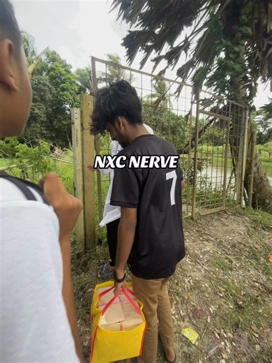 NXC Esports Team: Meet the Players and Their Skills