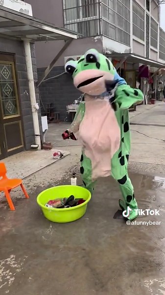 A funnybear on TikTok