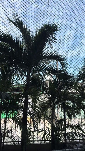 OLA ACADEMY 💙🤍⚽️