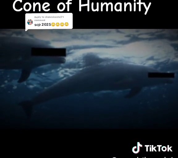 SCP 2025 Cone of Humanity | Explained