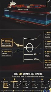 What is the Plimsoll Mark on Ships? 🚢⚓ Load Line Explained — Every Seafarer Must Know!#short