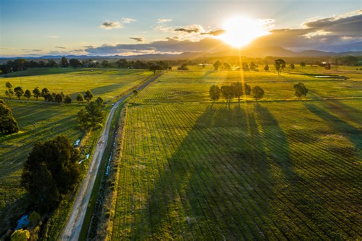 Home - Español - Diversity Matters - LatAm - 2022