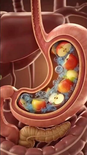 Your Stomach Acid Can Dissolve Metal #usa #science #sciencefacts #universe