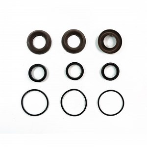 [Hot Item] Ar1857 Replacement Kit Annovi Reverberi Pump Water Seal Packings Kit