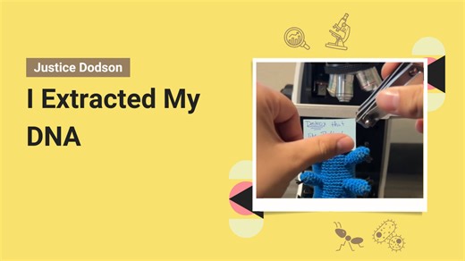 I Pulled My DNA Out at Home | Here’s What Happened