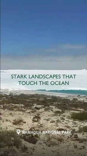 Namaqua National Park #sanparks