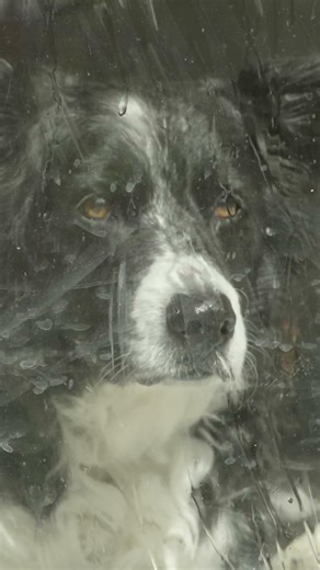 Someone told me long ago there's a calm before the storm.