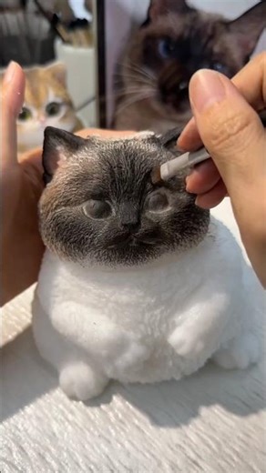 cute cat pet ~New Viral Gadgets, Smart Appliances, Kitchen Utensils/ Home Inventions #shorts