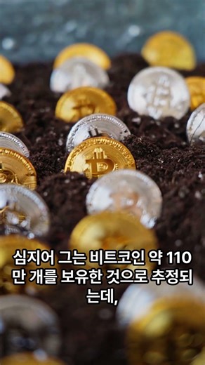 비트코인 창시자 나카모토 사토시, 사실 정체를 모른다? 🪙 #비트코인 #나카모토사토시 #1호사