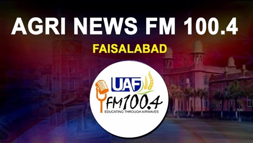 4K views · 54 reactions | FM 100.4: Depalpur Okara subcampus News | University of Agriculture Faisalabad - Official | Facebook
