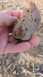 Nice End Of Day Find From Last Weekend! Getting Cleaned Up Today! #geology #agates #agate #theagatedude #lakesuperioragates #agatetok #lakesuperior | The Agate Dude