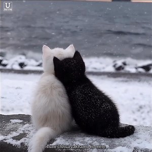 717K views · 1.4K reactions | With you, I found my peace.輸 | You & me | Facebook