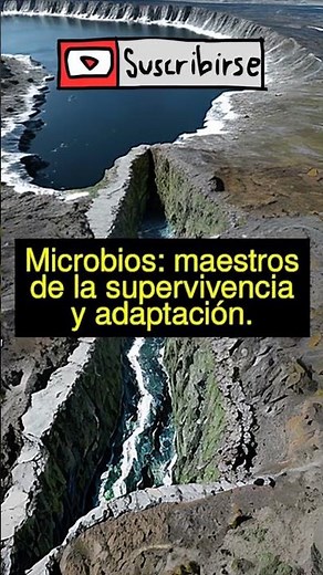 Incredible! How microbes resurrect from the ocean floor