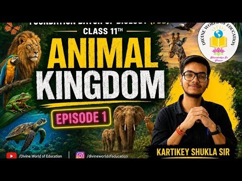 Animal Kingdom One Shot | Class 11 NCERT Full Chapter| Foundation Batch of Biology (FBB)
