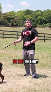 Do prong collars actually work? 🐾 While they won’t solve all your problems, learning how to properly condition and use this tool for effective training IS possible. Ready to take your dog from zero → hero? Click here: https://www.diyk9.com #DogTraining #ProngCollar #Propertraining #DogCollar #TrainingTips #DogBehavior #DogLovers | American Standard Dog Training