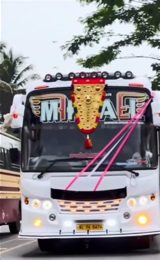 At last tourist bus the rule change now we can put our favourite colour in tourist bus