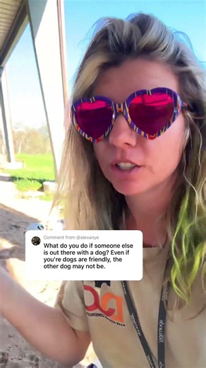 Voice Commands. I’ve only had Jason not even 3 weeks from the pound so we do extra for him