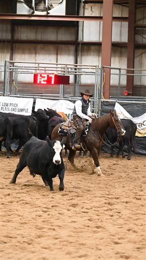 T.P photos. The cutting horse! if you haven’t rode a cutting horse better get one! | Roy Oliver
