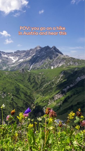 Experience the Magic of Austria's Nature on Your Next Hike