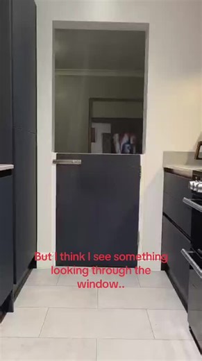 Hilarious Peekaboo Moments with a Dog